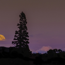 Moonrise Over Mount Hood